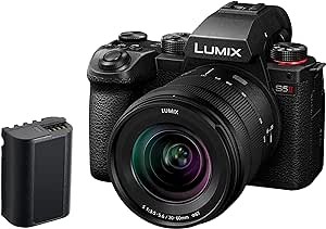 Mirrorless digital camera